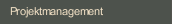 Projektmanagement
